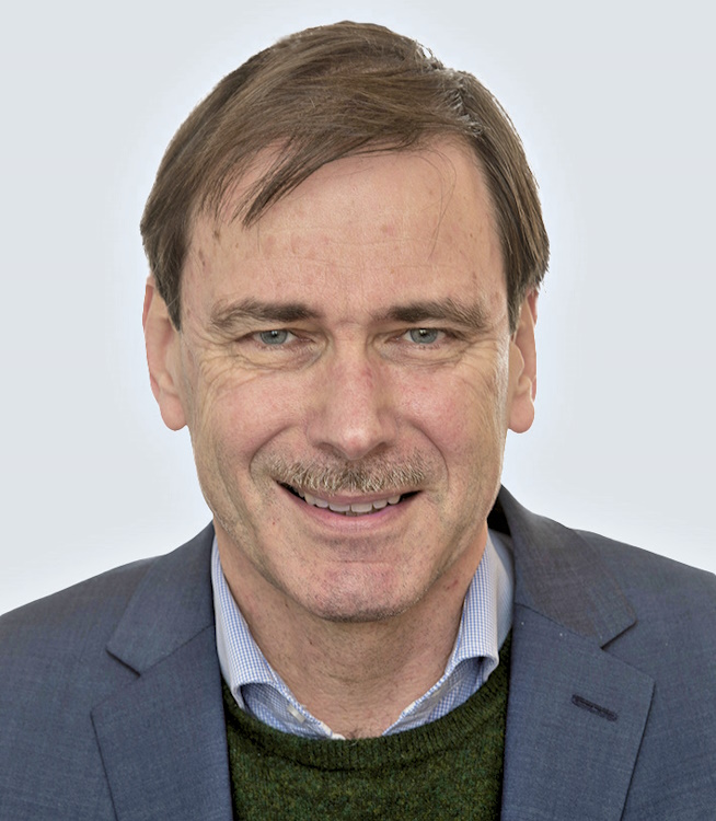 Professor Dr. Daniel Zimmer